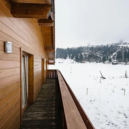 Holiday In Ski Area In 度假居