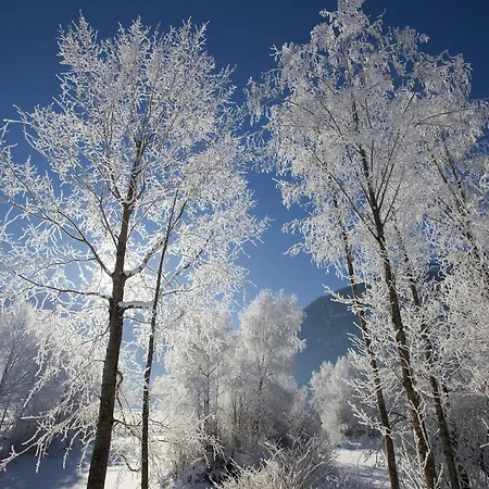 Holiday In Ski Area In 度假居 *