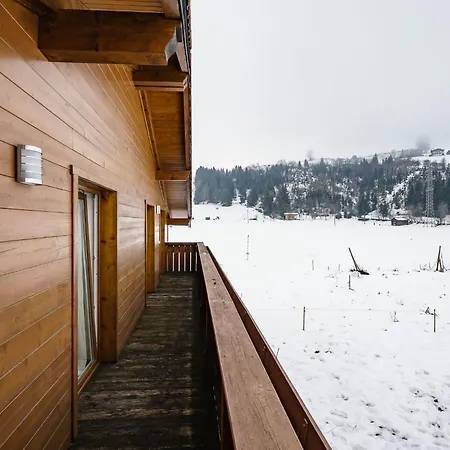 Holiday In Ski Area In * 米特西尔