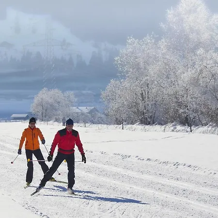度假居 Holiday In Ski Area In *